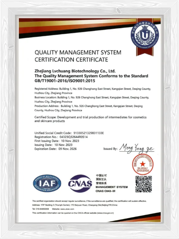 ISO 9001