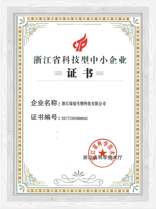 Zhejiang Technology-based SME Certificate