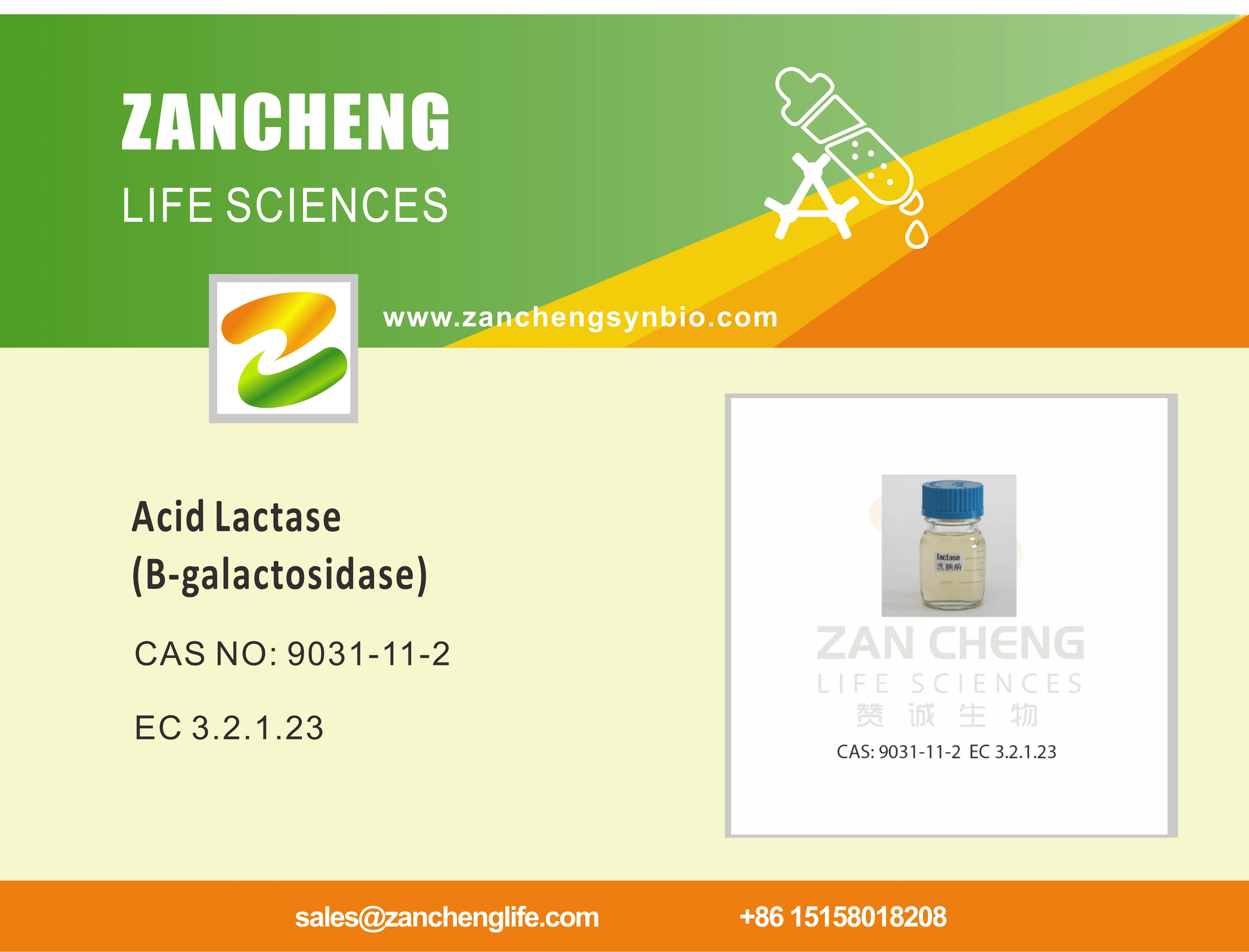 Acid Lactase(β-galactosidase)