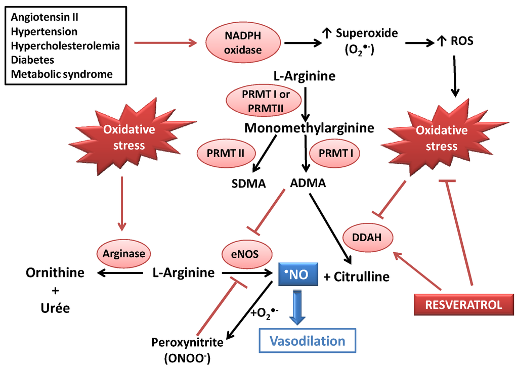 Resveratrol- Beyond Anti-Aging: Redefining the Dietary Value of Resveratrol from Cellular Repair to Nutricosmetics